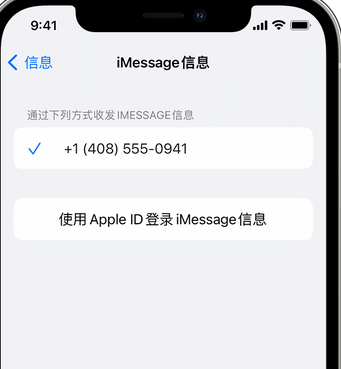 镜湖apple维修iPhone上无法正常发送iMessage信息 