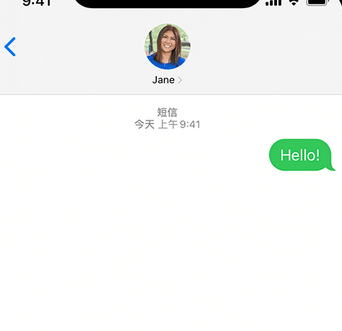 镜湖apple维修iPhone上无法正常发送iMessage信息