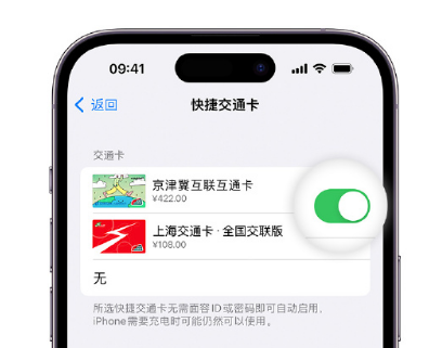 镜湖apple维修点分享iPhone上更换Apple Pay快捷交通卡手绘卡面 