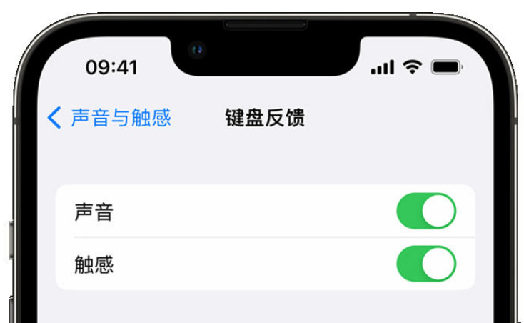 镜湖苹果手机维修分享iPhone 14触感键盘使用方法 