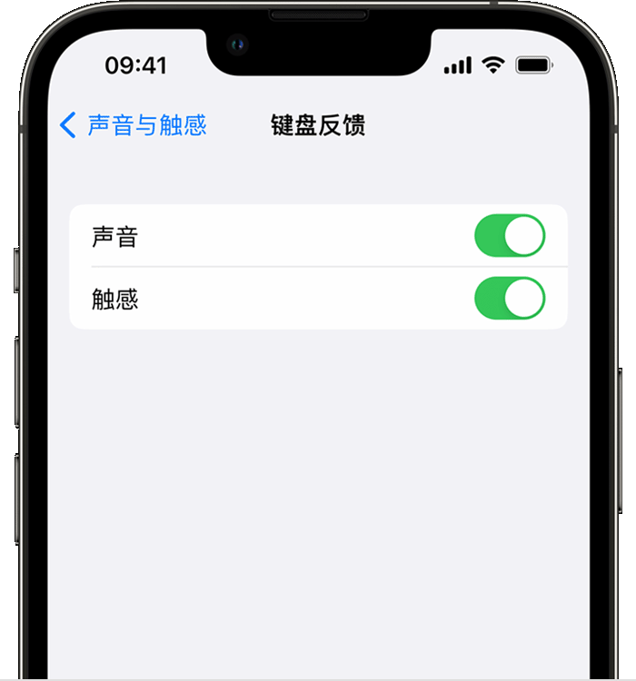 镜湖苹果14维修店分享如何在 iPhone 14 机型中使用触感键盘 