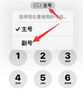 镜湖苹果14维修店分享iPhone 14 Pro Max使用副卡打电话的方法 