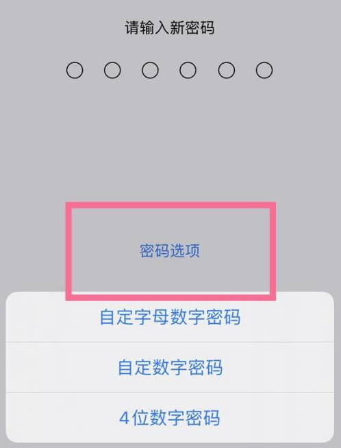 镜湖苹果14维修分享iPhone 14plus设置密码的方法 