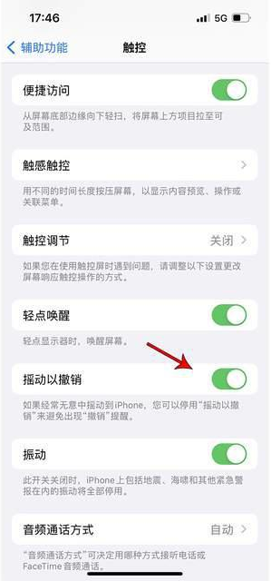 镜湖苹果手机维修分享iPhone手机如何设置摇一摇删除文字 